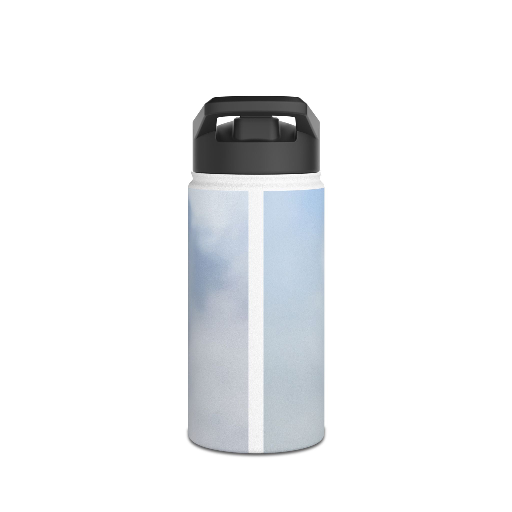 Spitfire Stainless Steel Water Bottle, Jet Design, Gift for Pilot, Travel Hydration, Airforce Lover, Outdoor Adventures